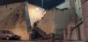 ScaleRipa-phD_Orsi_2016