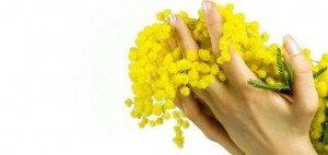 marzo-donna-mimose-mani