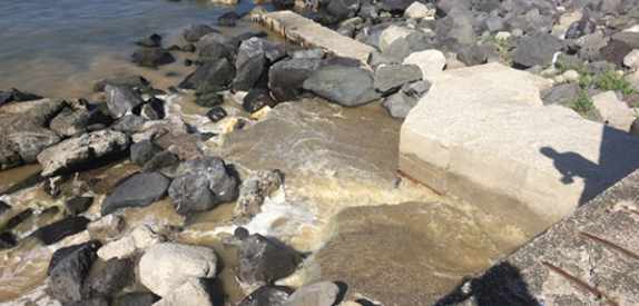Maxi operazione della capitaneria: scoperti scarichi abusivi sul litorale vesuviano