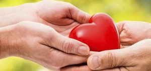 donazione-organi-cuore