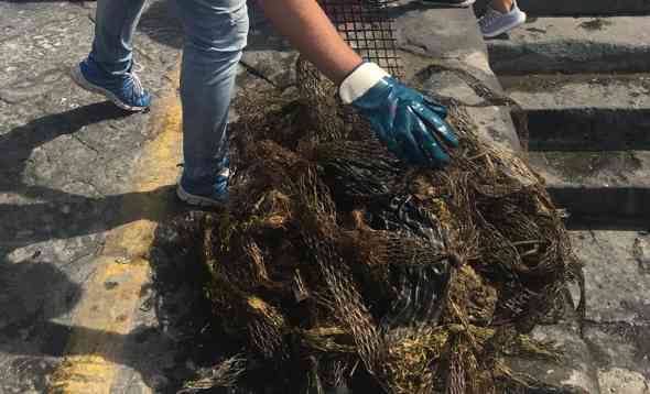 Fondali puliti, recuperati 400 Kg di rifiuti a Torre del Greco