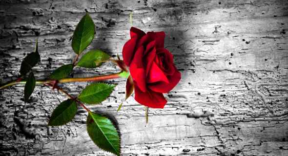 Femminicidio, lutto cittadino nei giorni dei funerali di Maria Arca