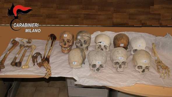 Vendevano ossa e scheletri umani su internet, 3 indagati