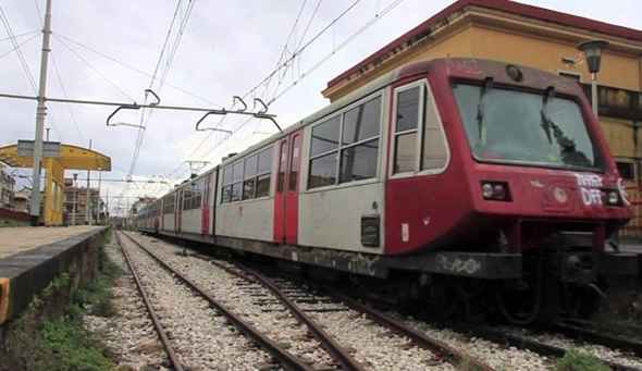 Topo su treno Circumvesuviana, video virale sul web