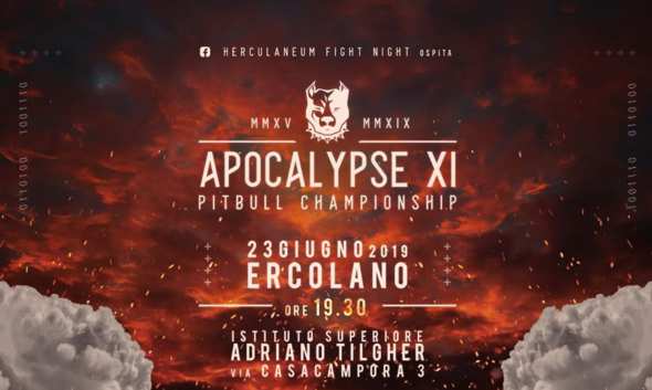 MMA, Ad Ercolano appuntamento con l’Apocalypse 🗓