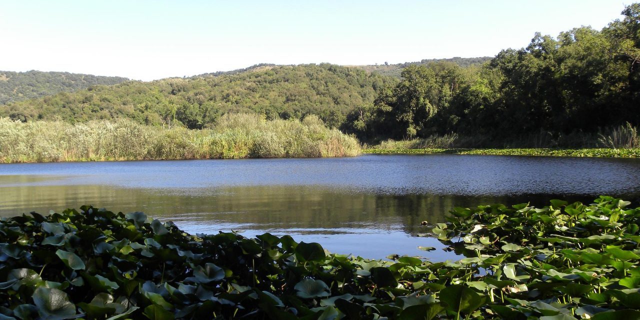 A caccia con la corte, la Riserva degli Astroni