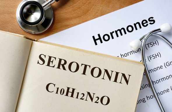 #iorestoacasa: il ruolo della serotonina contro la fame nervosa