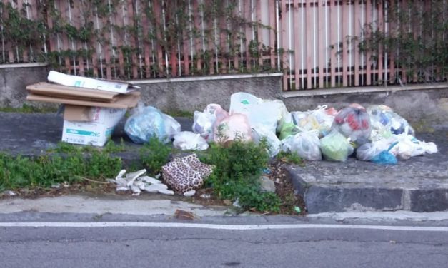 Rifiuti, commerciante nei guai per sversamento illecito