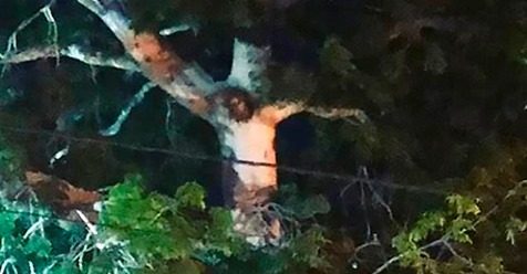 [VIDEO] Incredibile, Gesù appare tra gli alberi: decine di colombiani hanno infranto il lockdown per vederlo