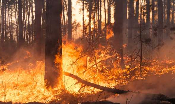 Campania, contrasto agli incendi boschivi: piano da oltre 51 milioni