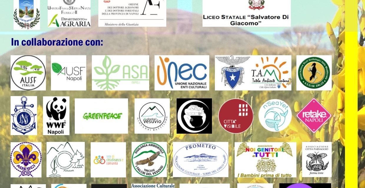 “Riforesti-Amo il Gigante ” progetto per la rinascita dei boschi nel Parco Nazionale del Vesuvio