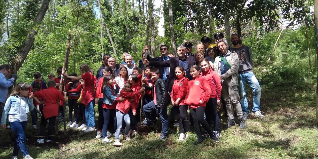Festa dell’Albero: 1300 nuove piante messe a dimora nel Parco del Vesuvio
