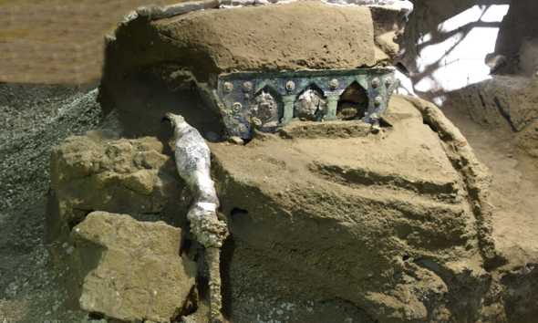 Ritrovamento straordinario negli scavi di Pompei: emerso carro da parata