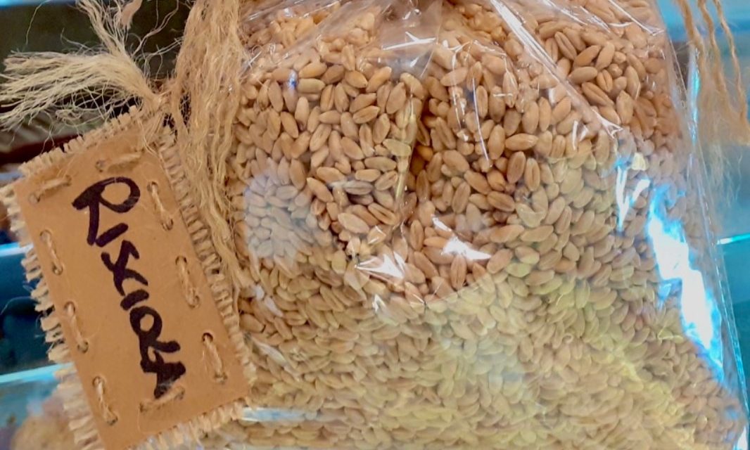 Graditi: farine ottenute da grani antichi per nuovi prodotti ad alto valore salutistico