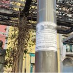 Ercolano. Affissione abusiva in Piazza Colonna, vigili sanzionano pompe funebri