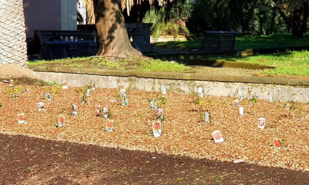 Valorizzazione del territorio e polmone verde, 500 rose a San Giorgio a Cremano