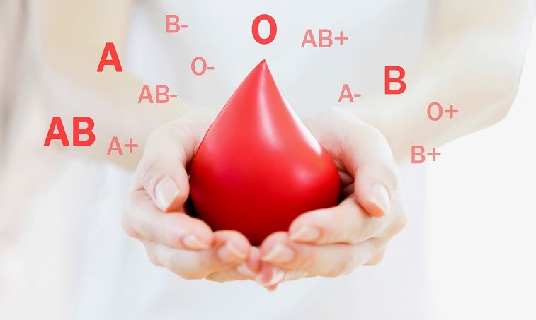 Torre del Greco, raccolta sangue targata Avis con screening e analisi gratuite ai donatori