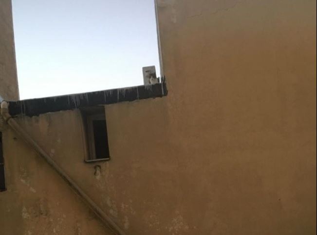 Gattino infreddolito e affamato bloccato su un tetto: salvato dalla Polizia Municipale