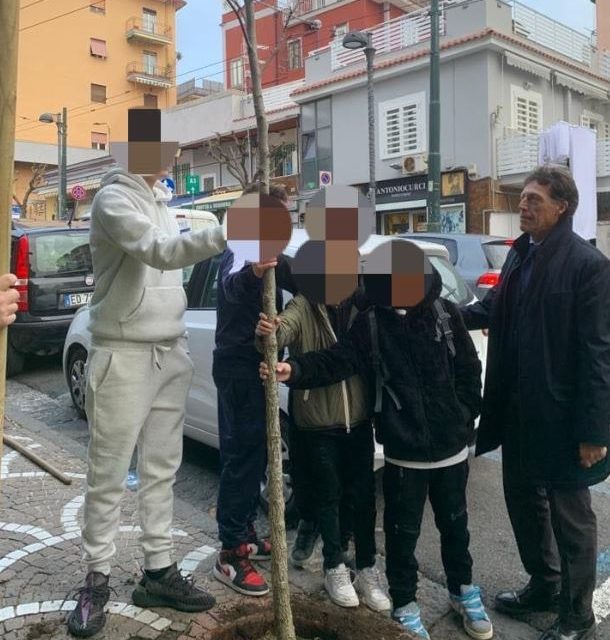 Portici. Minorenni sradicano albero: “costretti” dal sindaco a piantumarne nuovo. Ecco i motivi