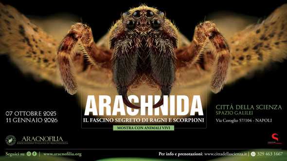 Arachnida, il fascino segreto di ragni e scorpioni alla Città della Scienza 🗓