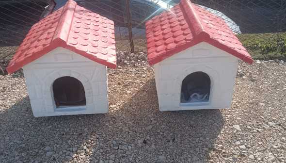 Torre del Greco. Casette per ospitare i gatti della colonia felina presente al cimitero
