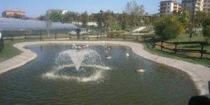 Laghetto-Parco-DAcquisto-2014