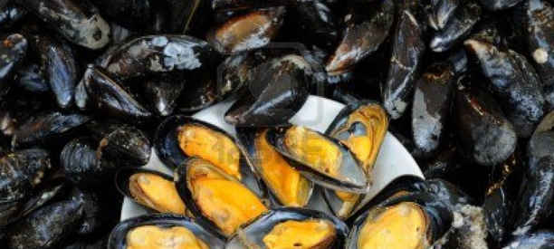 Pericolo cozze, aumentano i casi di Epatite A