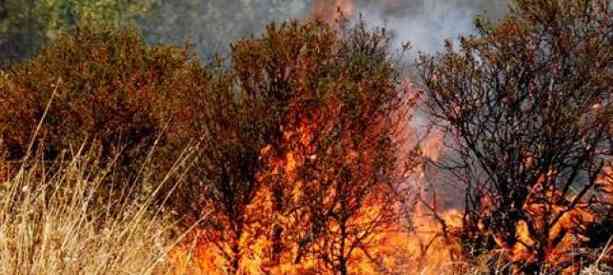 Vesuvio, opere di prevenzione contro gli incendi boschivi